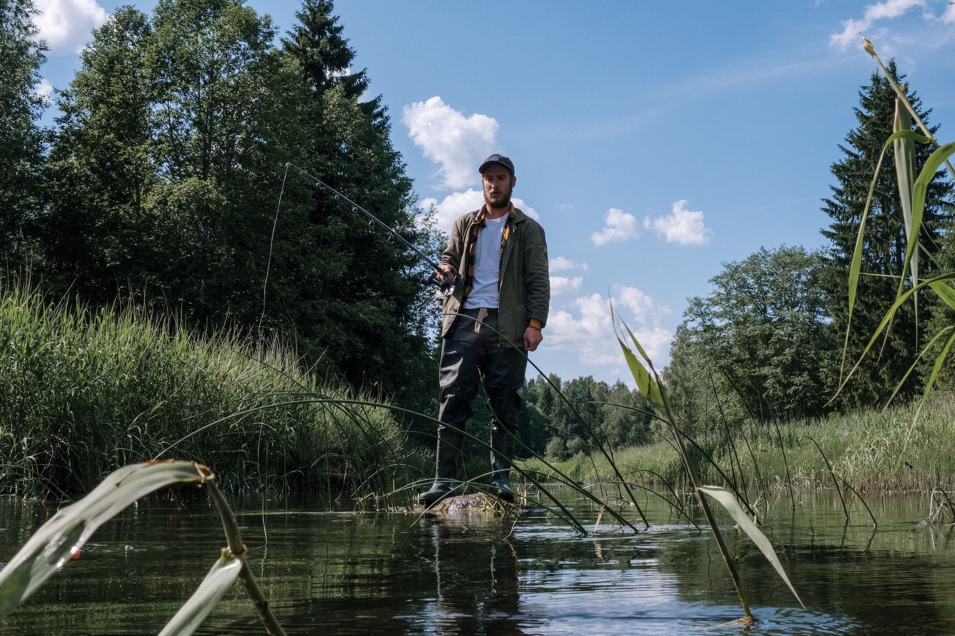 Pêcheur debout dans une rivière bordée de roseaux